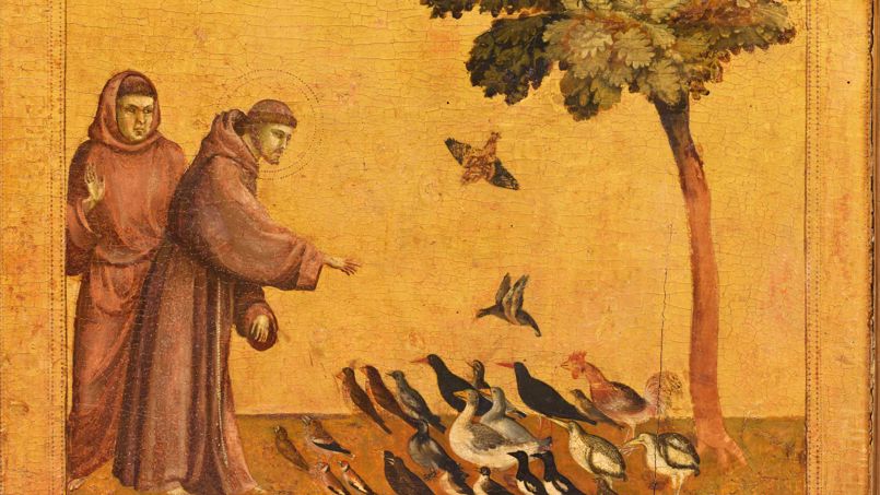 Saint François d’Assise prêchant aux oiseaux - Giotto, Le Louvre