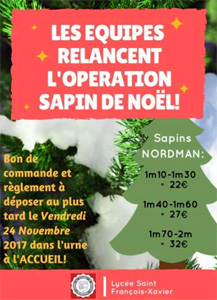 Lire la suite à propos de l’article Vente de sapins de Noël